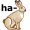 hare5