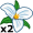 trilliums5