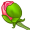 bud5