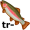 trout5