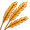 rye5