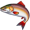 coho5