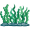 algae5