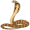 cobra5
