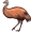emu5