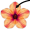petal5