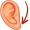 lobe5