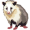 opossum5