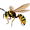 wasp5
