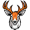 elk5