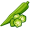 okra5