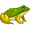 frog5