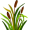 reed5