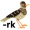 lark5