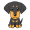 dog5