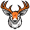 deer5