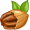 pecan5