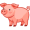 pig5