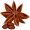 anise5