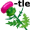 thistle5