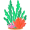 algae5