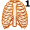 rib5