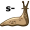 slug5