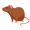 rat5