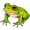 frog5
