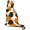 calico5