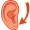 earlobe5