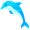 dolphin5