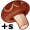 shiitake5
