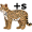 ocelot5