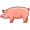 pig5