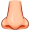 nose5