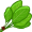 spinach5