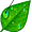 dew5