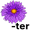 as-ter5