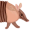 armadillo5