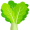 collard5