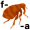 f-le-a5