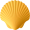 scalop5