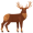 stag5