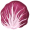 radicchio5