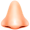 nose5