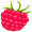 raspberry5