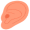 ear5
