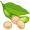 soy5