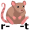 r-a-t5
